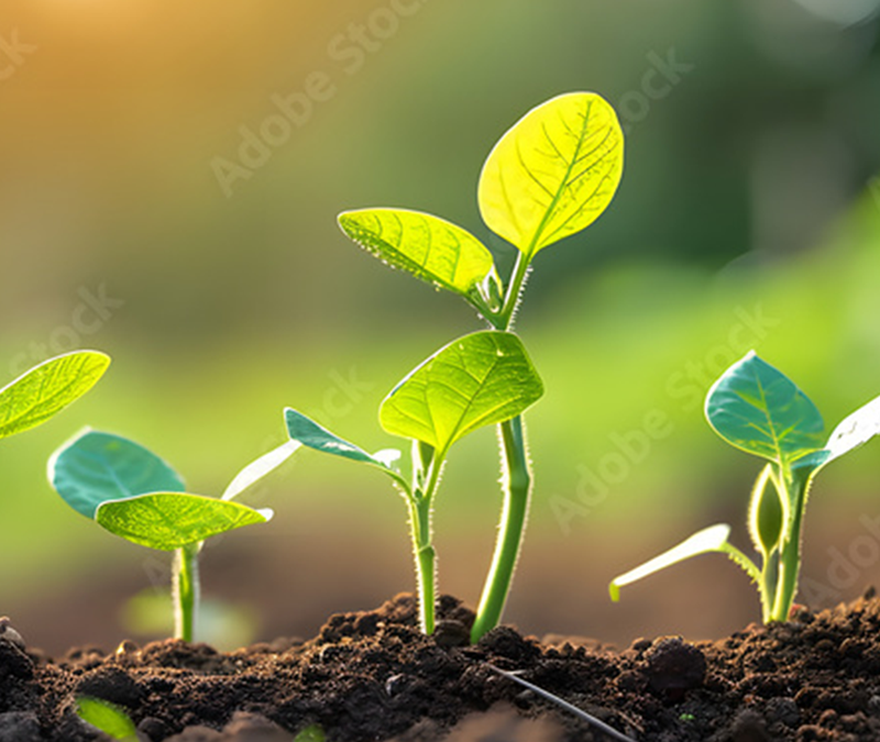 Agriculture